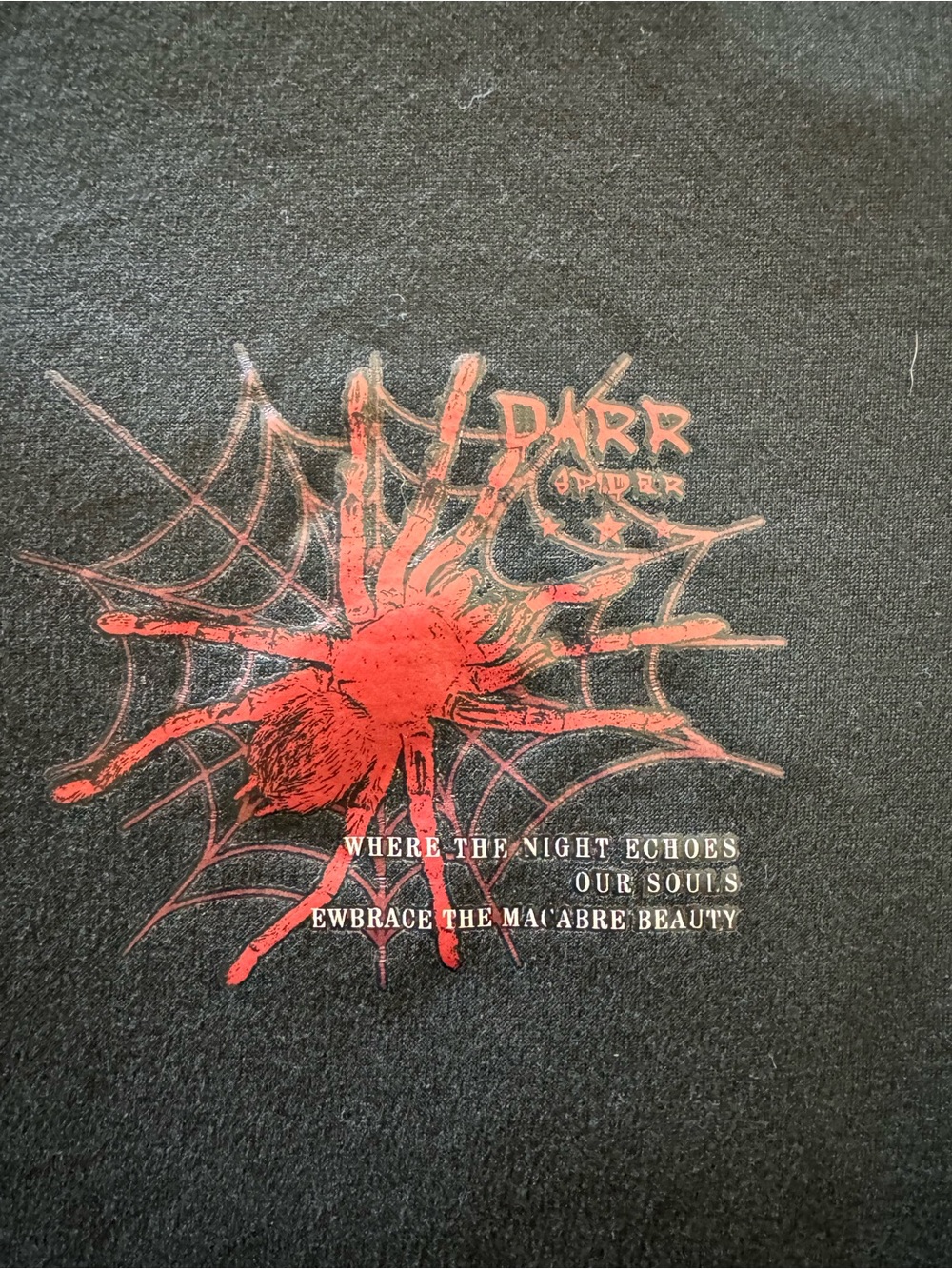 "Spider Graphic," "Embrace the Darkness," and "Macabre Beauty" t-shirt (Size XS) - Picture 5 of 8